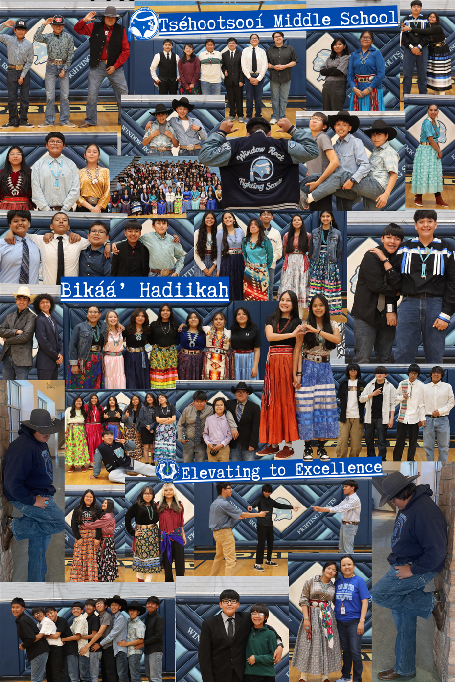 tms collage